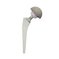 Primary hip prosthesis cementless
