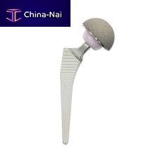 Primary hip prosthesis cementless