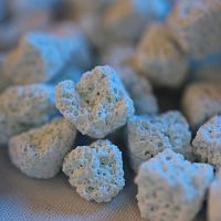 Xenograft bone substitute XenoBone®for orthopedic surgerygranules
