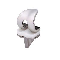 Total knee prosthesis Swingcemented or non-cemented