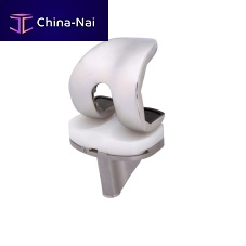 Total knee prosthesis Swingcemented or non-cemented