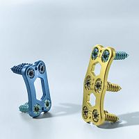 Cervical arthrodesis plate Quintex®lockingmetallic1 level