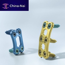 Cervical arthrodesis plate Quintex®lockingmetallic1 level