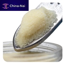 Allograft bone substitute Orios®for orthopedic surgerymalleable