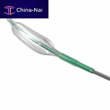 PTCA catheter NSE Alphacoronaryblood vesselballoon