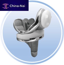 Total knee prosthesis XA mobile-bearingcementless