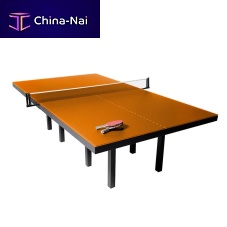 Indoor ping pong table PANGcontemporarycommercialhome