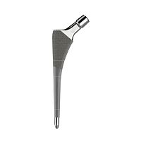 Cementless femoral stem