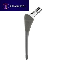 Cementless femoral stem