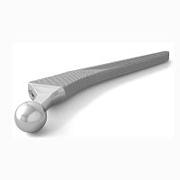 Cementless femoral stem TBG