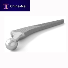 Cementless femoral stem TBG