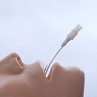 Access catheter 17-010laryngotracheal