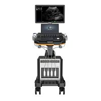 On-platform ultrasound system DW-T60for multipurpose ultrasound imagingfor cardiovascular ultrasound imagingB/W