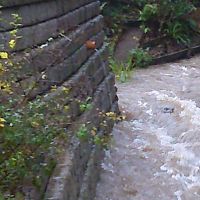 Modular gabion REDI-ROCKprotectionfor erosion controlfor river banks