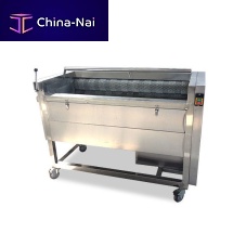Vegetable food cleaning machine XQPJ seriesbrush
