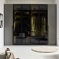 Contemporary wardrobe AIRLINElacquered woodglasswith swing doors
