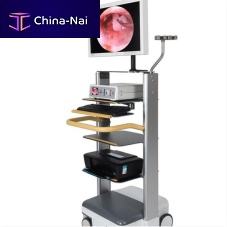 Endoscopy column