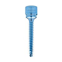 Monoaxial pedicle screw metallic