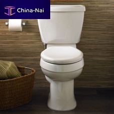 Toilet seat CHAMPION