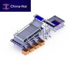 Fish grader rollerwith conveyor