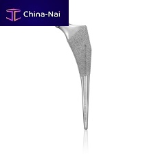 Cementless femoral stem rightleft