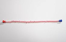 Femoral artery vascular bioprosthesis CryoArtery®allograft