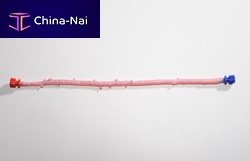 Femoral artery vascular bioprosthesis CryoArtery®allograft
