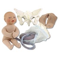 Pelvis simulator 78500for childbirth demonstrationobstetrical/gynecologicalfemale