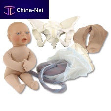 Pelvis simulator 78500for childbirth demonstrationobstetrical/gynecologicalfemale