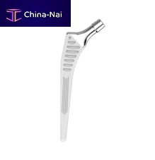 Cementless femoral stem Hype®