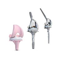 Total knee prosthesis BPK-Srevisionmobile-bearing