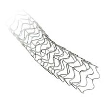Coronary stent ProLink SVstainless steel