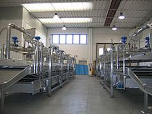 Continuous industrial cooker pastawith cooling lineimmersion