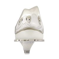 Total knee prosthesis Anatomic Rolflex®cementless