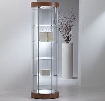 Contemporary display case 209/RFwith legsglassoak