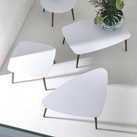 Contemporary coffee table SPRING : 1655oakbeechash