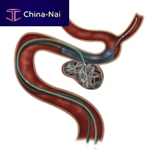 Transseptal access sheath Headway® Duo