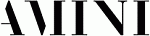   AMINI