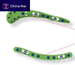 Clavicle compression plate CBTGLN1lateralmediallocking