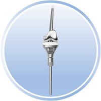 Reverse shoulder prosthesis revisioncemented