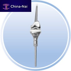 Reverse shoulder prosthesis revisioncemented
