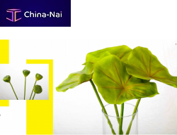     SJ Factory Co., Ltd.