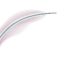 PTA catheter Passeo®-35peripheralballoon6 FR