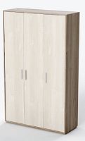 Wardrobe with hinged door NOR3044ME3-door