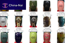       Jingdezhen Tanglong Ceramics Co.ltd