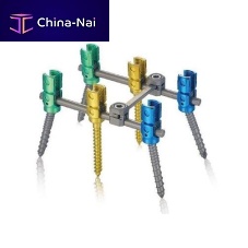 Thoraco-lumbar osteosynthesis unit GSSposterioradult
