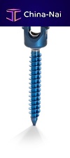 Polyaxial pedicle screw ISSmetallic