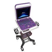 Portable, with trolley ultrasound system BPU60B for gynecological and obstetric ultrasound imagingfor cardiovascular ultrasound imagingfor urology ultrasound imaging