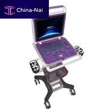 Portable, with trolley ultrasound system BPU60B for gynecological and obstetric ultrasound imagingfor cardiovascular ultrasound imagingfor urology ultrasound imaging