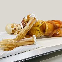 Radiography test phantom FB-A02for CT scanfor MRIwhole body